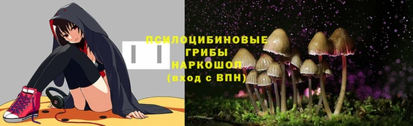 спиды Гусь-Хрустальный