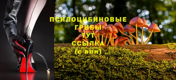 спайс Гусиноозёрск