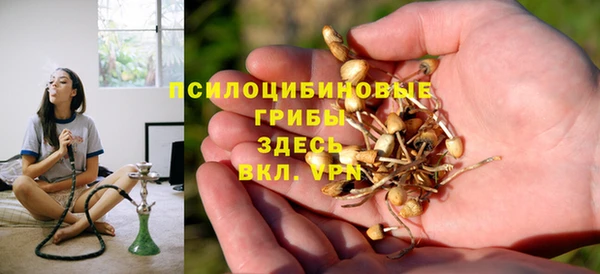 спиды Гусь-Хрустальный