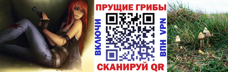 Псилоцибиновые грибы прущие грибы  Мезень 